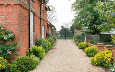 What’s the 2025 Property Forecast for Basildon?